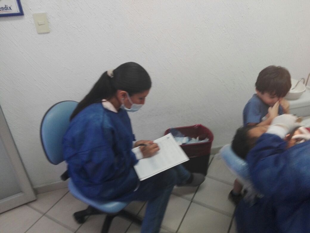 Servicio Social